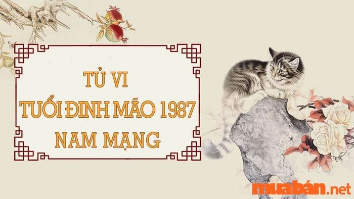 Tử vi Đinh Mão 1987 nam mạng trong năm 2024: Những yếu tố quan trọng cần chú ý