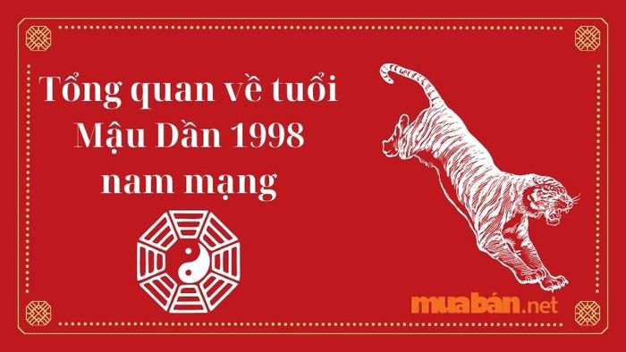 Tổng quan về vận mệnh tuổi Mậu Dần 1998 nam mạng