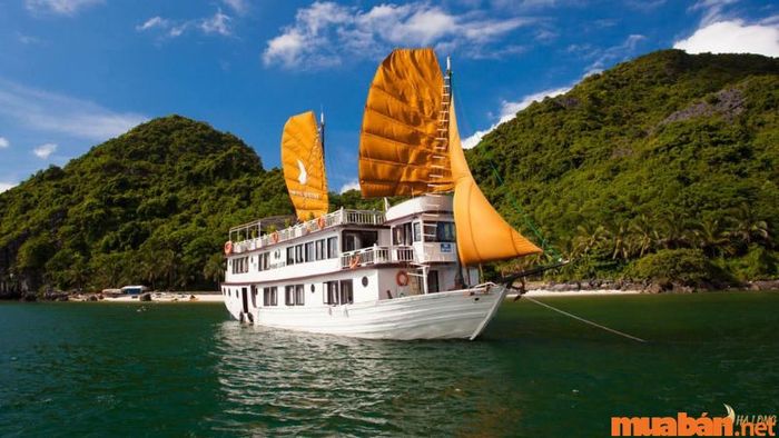Du thuyền tham quan Vịnh Hạ Long