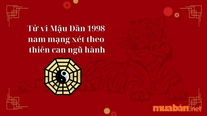 Tử vi Mậu Dần 1998 nam mạng dựa trên thiên can ngũ hành sẽ cung cấp cái nhìn chi tiết về các yếu tố ảnh hưởng đến cuộc sống của bạn trong năm nay.