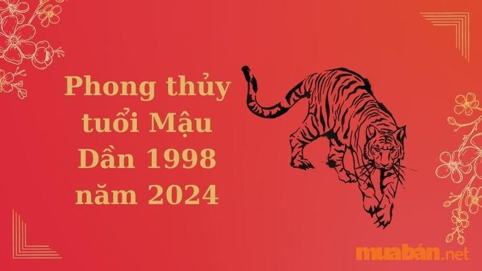 Phong thủy tuổi Mậu Dần 1998 trong năm 2024