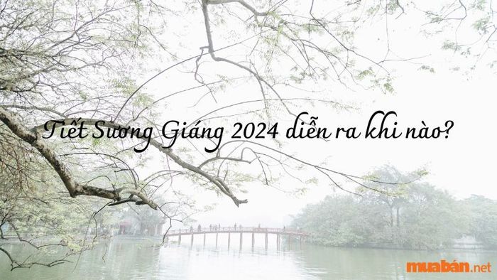 Tiết Sương Giáng 2024 sẽ bắt đầu từ ngày nào?