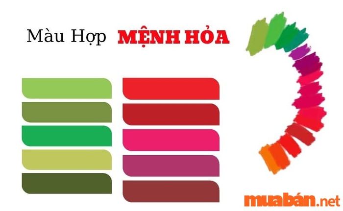 Tử vi năm 2024 của Đinh Mão nam mạng khuyên bạn nên lựa chọn những màu sắc hợp tuổi để mang lại may mắn và tài lộc.