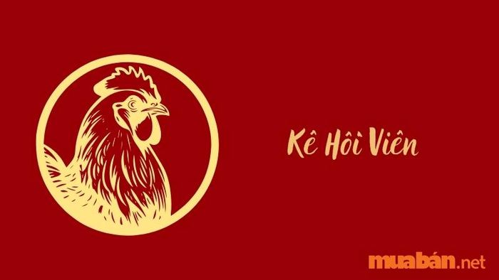 Vận niên Kê Hồi Viên mang đến nhiều vận may cho Mậu Dần 1998 nam mạng trong năm 2024.