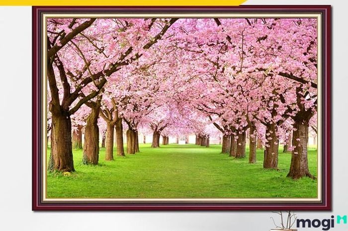 Hoa anh đào là lựa chọn tuyệt vời trong trang trí, làm đẹp không gian sống và tiểu cảnh.