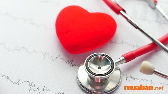 Bản mệnh cần chú trọng hơn đến việc bảo vệ sức khỏe của mình.