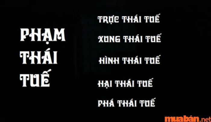 Năm 2024, chủ mệnh Nhâm Ngọ không phạm Thái Tuế.