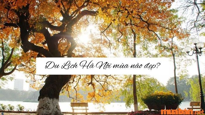 Thời gian thích hợp để du lịch Hà Nội