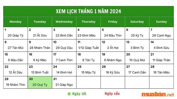Xem chi tiết luận giải ngày 30/1/2024