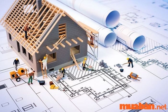 Vì không phạm Kim Lâu trong năm 2024, Đinh Mão 1987 có thể tiến hành các công việc liên quan đến xây dựng, sửa chữa nhà cửa một cách thuận lợi.