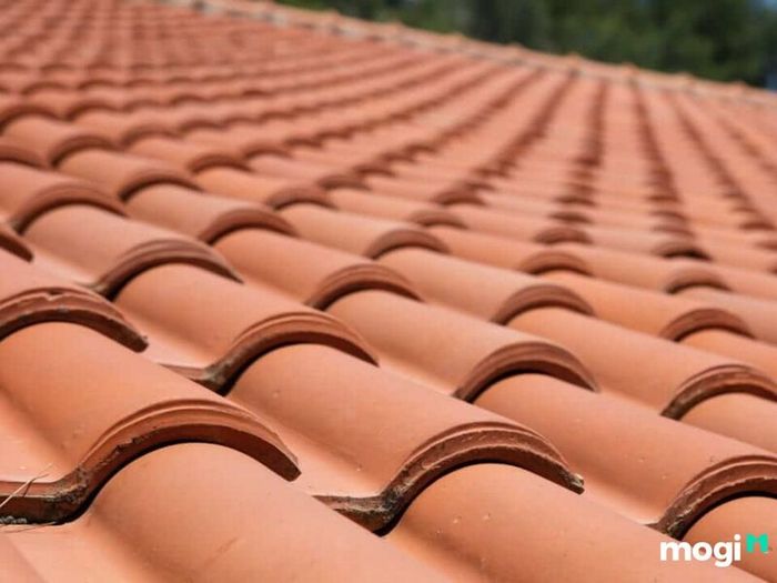Mối quan hệ giữa Tang Đố Mộc và Ốc Thượng Thổ
