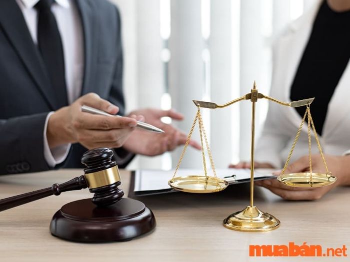Sao Thổ Tú chiếu mệnh gây ra nhiều thị phi, kiện tụng, khiến chủ mệnh dễ gặp rắc rối pháp lý và tranh chấp không mong muốn