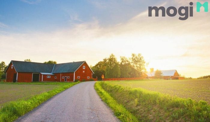 Mẫu nhà cấp 4 đẹp ở nông thôn giá rẻ 10