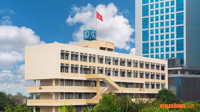 Trường phát triển mạnh mẽ nhờ vào đội ngũ giảng viên và cán bộ công tác có trình độ chuyên môn cao, giàu kinh nghiệm thực tế. Các chương trình giảng dạy được đảm nhiệm bởi các kỹ sư, tiến sĩ, giáo sư đã được đào tạo từ các chương trình quốc tế uy tín.