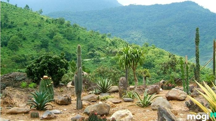 Một số lưu ý khi bạn đi du lịch Ba Vì