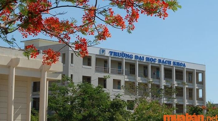 Ngành điện tử viễn thông học tại Đại học Bách khoa Đà Nẵng