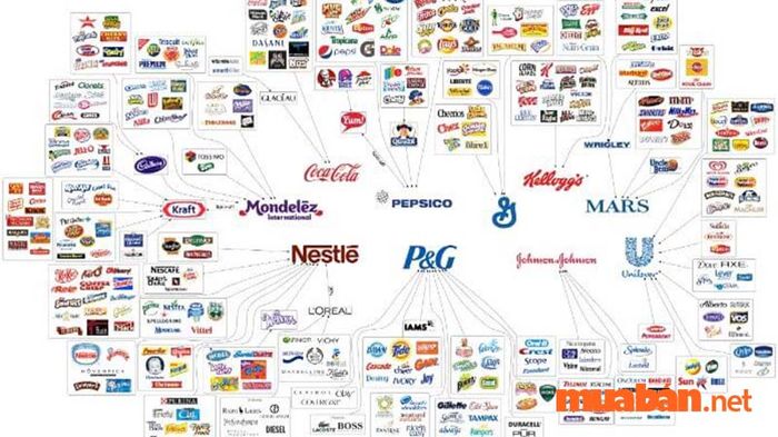 FMCG là gì - Có rất nhiều tên tuổi lớn trong ngành FMCG mà bạn đã từng nghe đến
