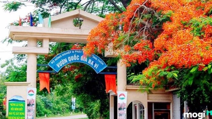 Mức giá vé vào cổng Vườn Quốc gia Ba Vì
