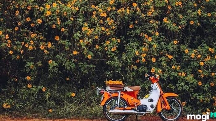 Chuyến đi Ba Vì bằng xe máy