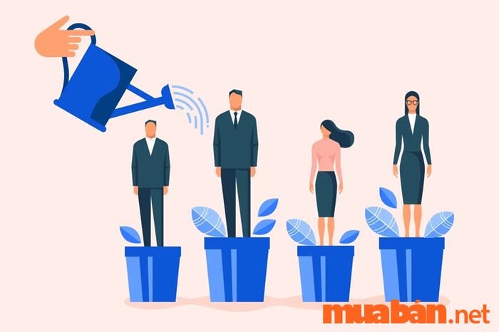 HR là gì? – HR thực hiện các chương trình đào tạo, huấn luyện để nâng cao năng lực và hiệu quả làm việc của nhân viên trong công ty.