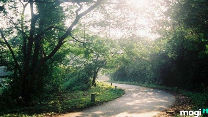 Vườn Quốc Gia Ba Vì Nằm Ở Đâu?