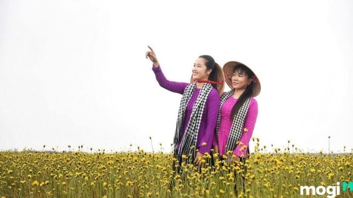 Tràm Chim Đồng Tháp