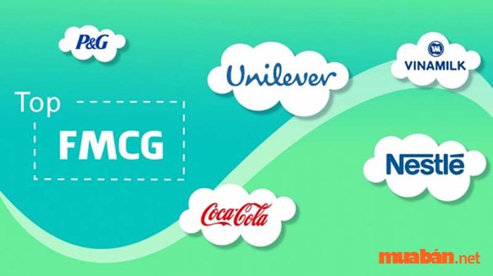 FMCG là gì – Ngành FMCG có mức lương được xếp vào hàng