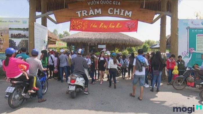 Tràm Chim Đồng Tháp