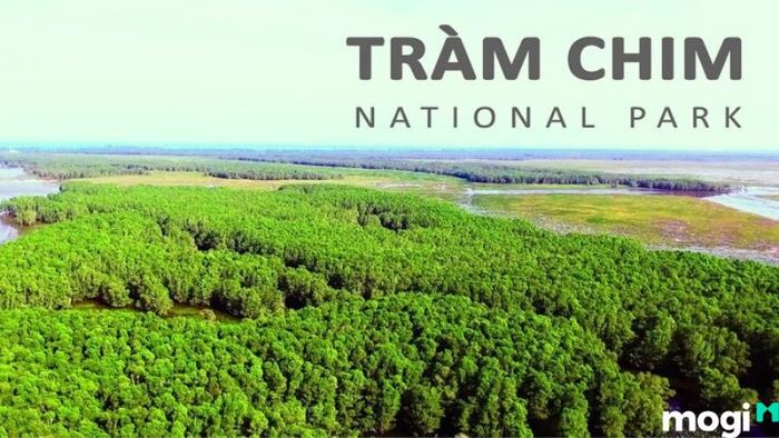 Khu Du Lịch Tràm Chim Đồng Tháp