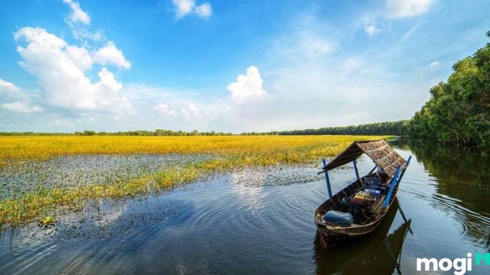 Tràm Chim Đồng Tháp