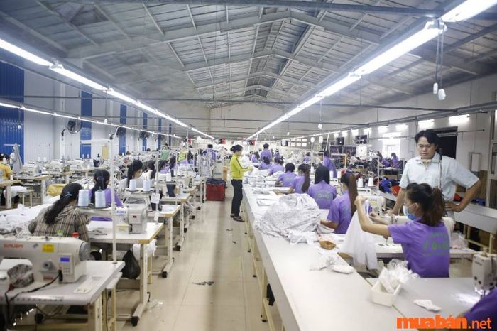 Quản lý các xưởng may mặc là một công việc đầy tiềm năng và đáng giá.