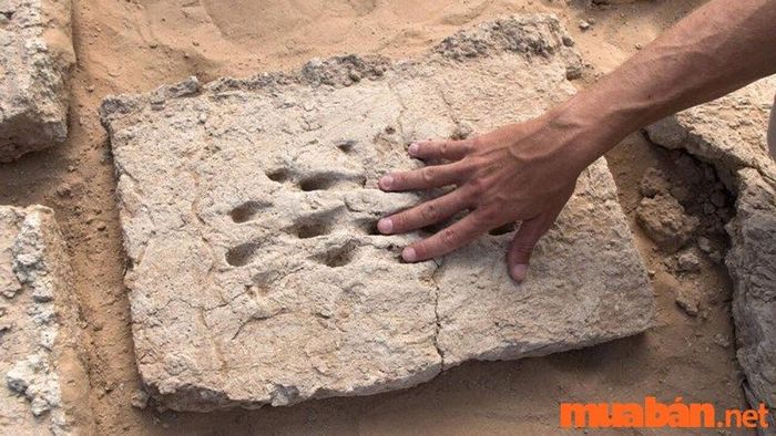 Mức lương của ngành khảo cổ học ở các quốc gia phát triển khá hấp dẫn, ví dụ như ở Mỹ, thu nhập có thể dao động từ 38.000 đến 62.000 USD mỗi năm.