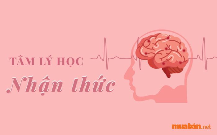 Tổng quan về mức lương ngành tâm lý học hiện nay