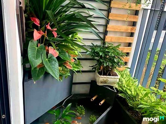 Tiểu cảnh ban công chung cư