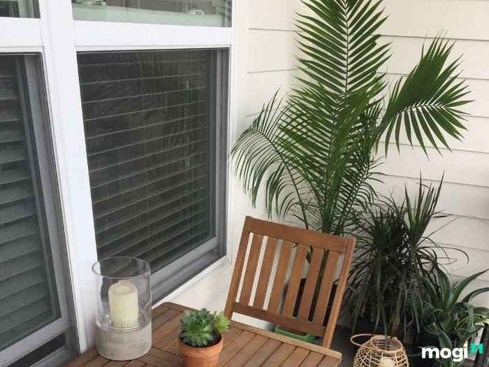 Tiểu cảnh ban công chung cư