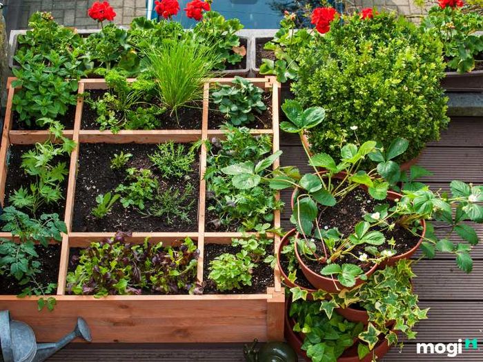 Tiểu cảnh ban công chung cư