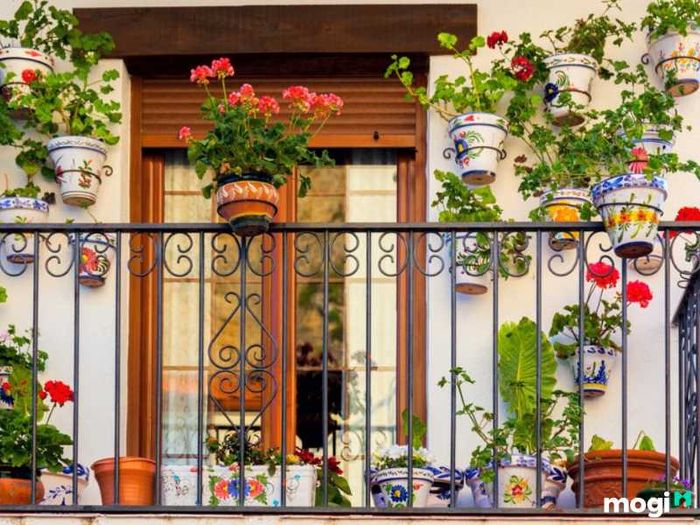 Tiểu cảnh ban công chung cư