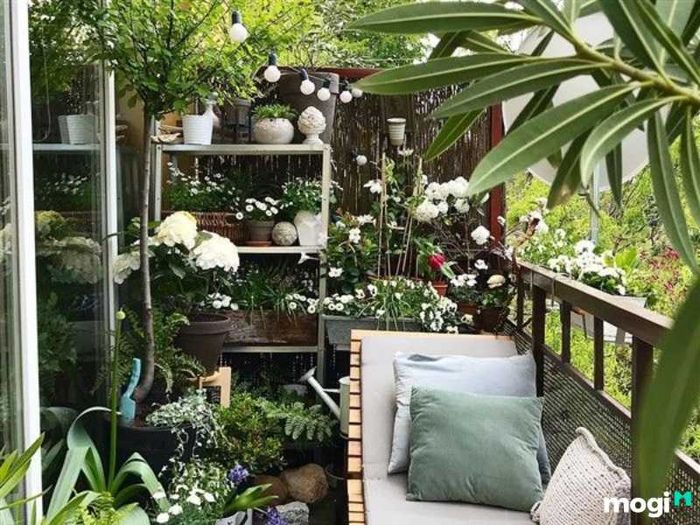 Tiểu cảnh ban công chung cư