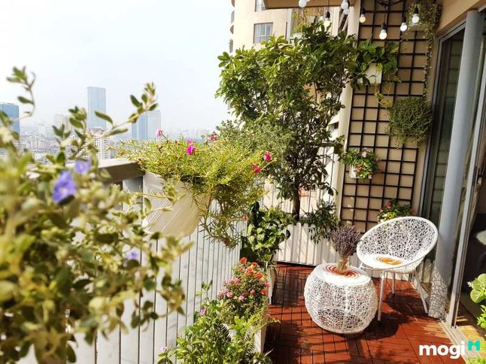 Tiểu cảnh ban công chung cư