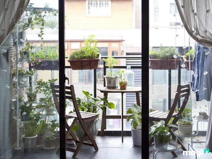 Tiểu cảnh ban công chung cư