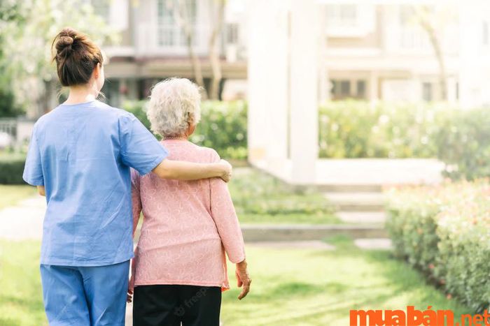 Nhu cầu nhân lực cho nghề y tá hiện nay đang rất cao