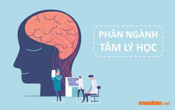 Mức lương của ngành tâm lý học lâm sàng