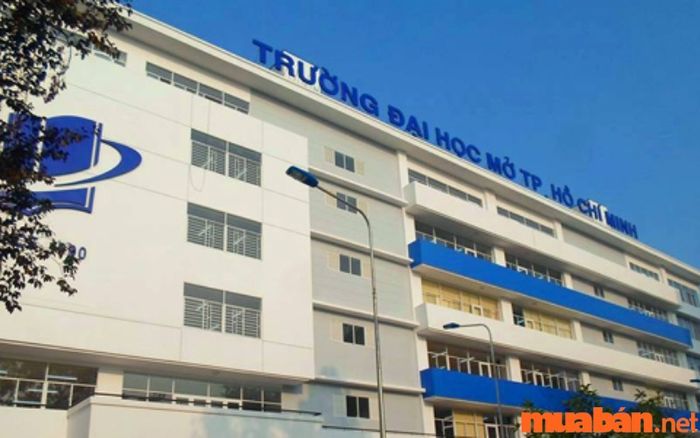 Luật kinh tế tạo ra cơ hội nghề nghiệp rộng mở, từ các công việc tư vấn pháp lý đến quản lý trong các tổ chức và doanh nghiệp, đặc biệt là trong lĩnh vực thương mại và đầu tư quốc tế.