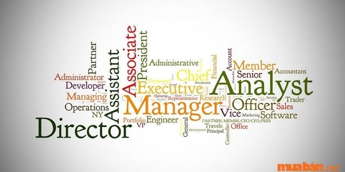 Job Title