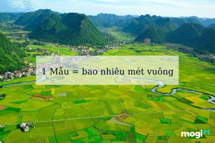 Chuyển đổi đơn vị đo diện tích đất