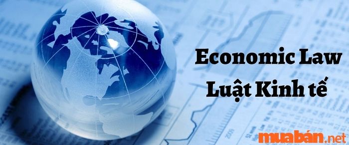 Học luật kinh tế sẽ giúp bạn giải quyết những vấn đề pháp lý trong lĩnh vực kinh doanh và thương mại. Vậy thực sự học luật kinh tế ra làm gì?