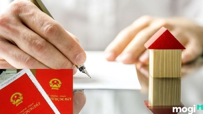 Người sử dụng đất chính là người có nghĩa vụ đóng thuế nhà đất