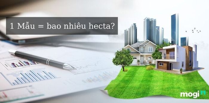 Mẫu đất tương đương bao nhiêu hecta?