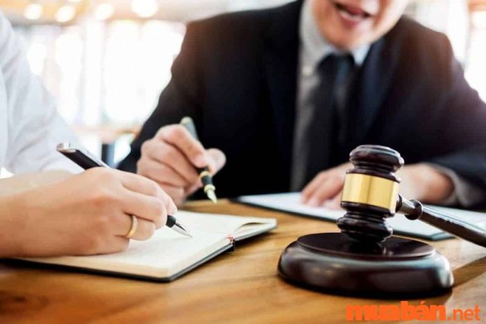 Luật kinh tế mở ra nhiều cơ hội nghề nghiệp phong phú, từ tư vấn pháp lý, làm việc trong các tổ chức và doanh nghiệp, đến các lĩnh vực liên quan đến thương mại quốc tế và đầu tư. Sinh viên tốt nghiệp ngành này có thể làm việc tại nhiều lĩnh vực khác nhau trong nền kinh tế toàn cầu.
