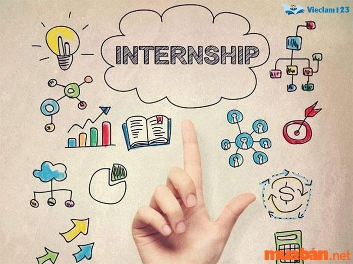 Internship là gì?
